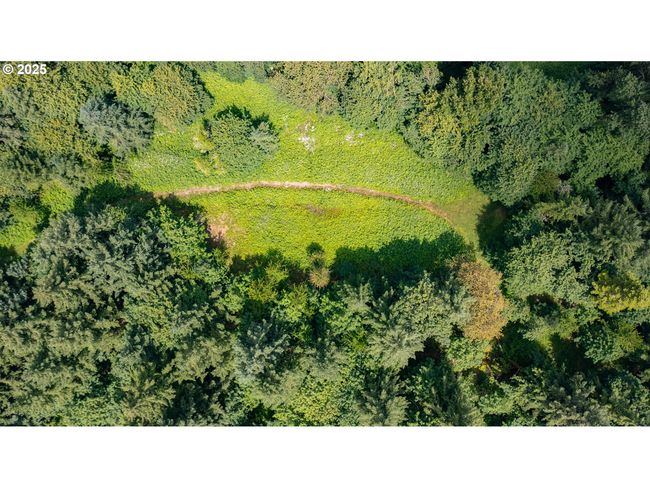 4901 Highway 20, Home with 0 bedrooms, 0 bathrooms and null parking in Sweet Home OR | Image 18