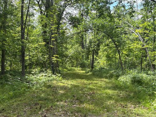 599XX Tamarack River Rd, Sandstone, MN, 55072 | Card Image