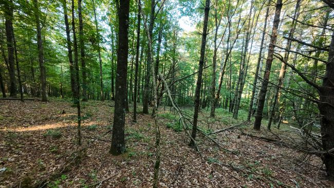 Parcel 2-20 | Image 9