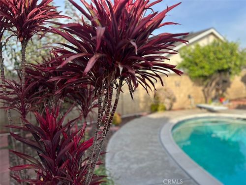 6849 Whitman Dr, Buena Park, CA, 90620-1116 | Card Image