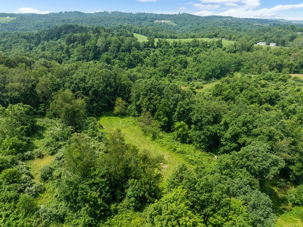 Land in Triadelphia 2