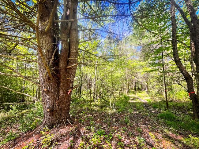 200 Straw Hill Rd, Home with 0 bedrooms, 0 bathrooms and null parking in Barton NY | Image 40