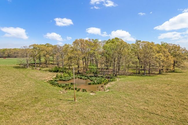 1110 Pomroy Rd, House other with 3 bedrooms, 2 bathrooms and 2 parking in Manchester TN | Image 14