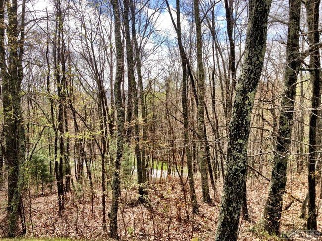 10 Trellis Ln, Home with 0 bedrooms, 0 bathrooms and null parking in Cullowhee NC | Image 6
