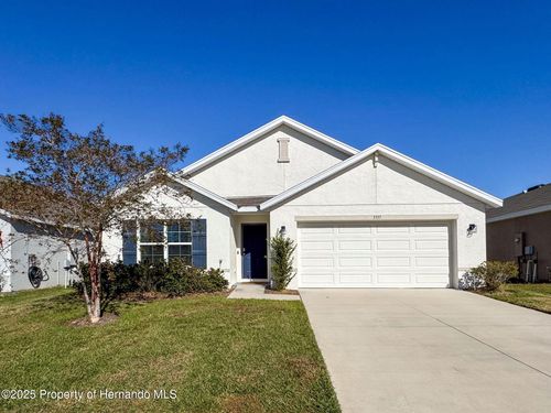 3337 Autumn Amber Drive, Spring Hill, FL, 34609 | Card Image