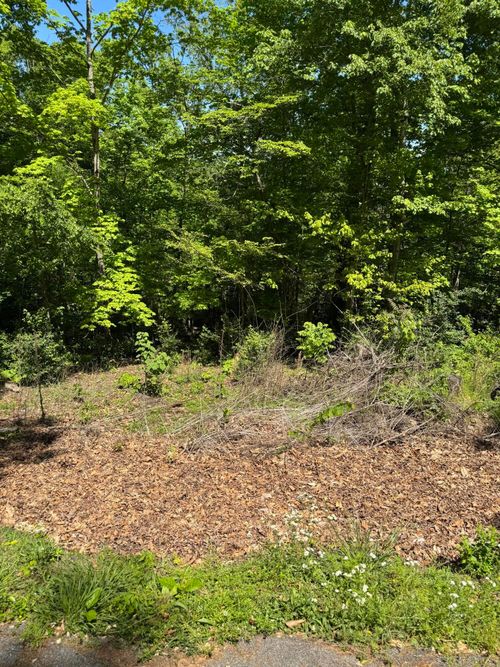 Lot 44 Cliffwood Dr, Newport, TN, 37821 | Card Image