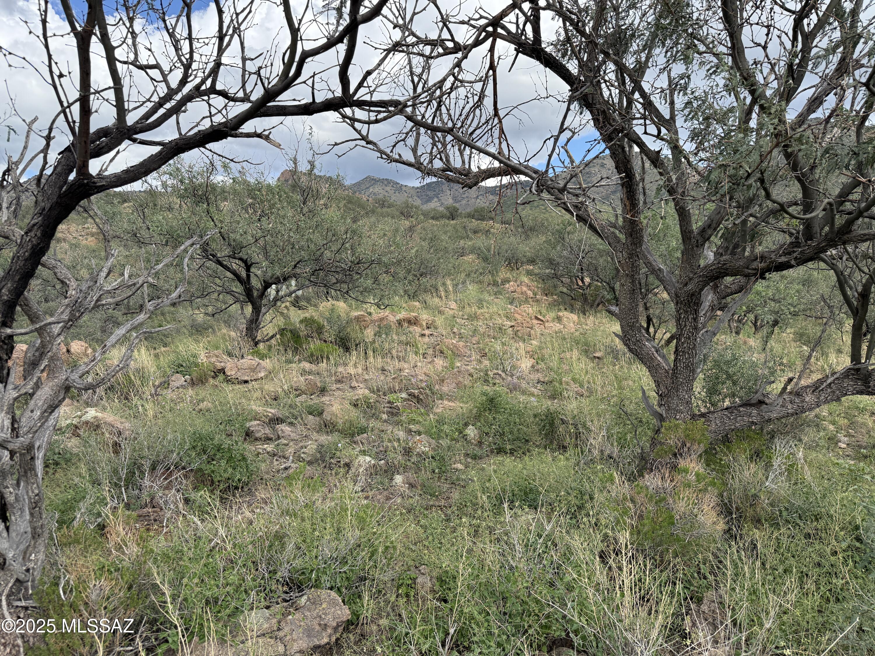 Land in Tubac 4