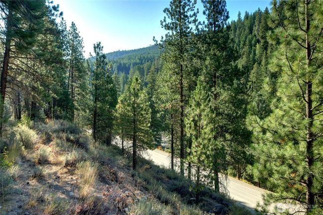 799 Twisp River Rd, Home with 0 bedrooms, 0 bathrooms and null parking in Twisp WA | Image 27