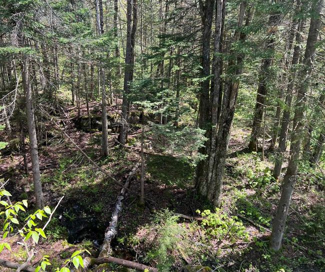 1180 Abbott Hill Rd, Home with 0 bedrooms, 0 bathrooms and null parking in West Burke VT | Image 35