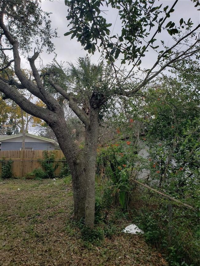 6997 Chestnut Dr, House other with 3 bedrooms, 2 bathrooms and null parking in Cocoa FL | Image 74