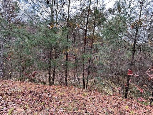Lot 18 Mystic Mountain Dr, Murphy, NC, 28906-3834 | Card Image