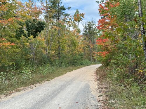 0 Aarons Rd, Lewiston, MI, 49756 | Card Image