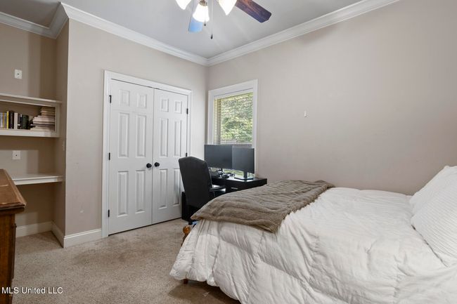 111 Meadow Pointe Cove-23 | Image 24