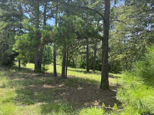 19488 Copperoaks Dr, Tyler, TX, 75703-8704 | Card Image