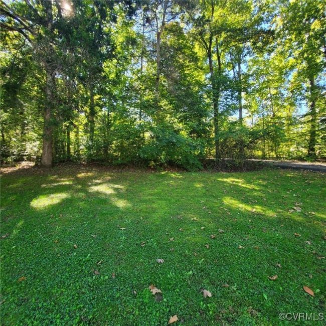 View of yard | Image 7