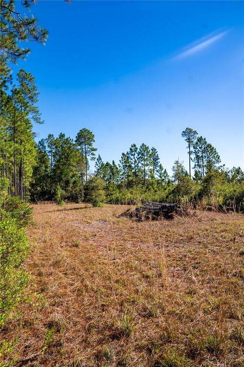 101 Thyme Dr, Interlachen, FL, 32148-4213 | Card Image