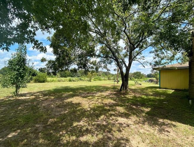 View of yard | Image 4