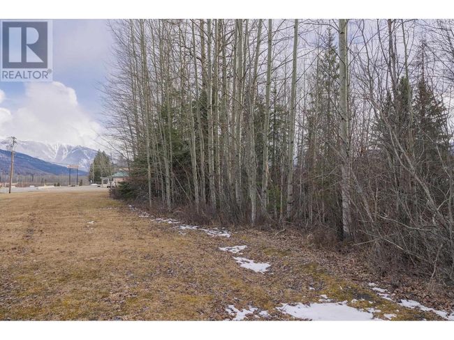 1105 S Frontage Rd, Home with 0 bedrooms, 0 bathrooms and null parking in Mcbride BC | Image 10