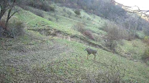 1 County Rd S, Boscobel, WI, 53805 | Card Image