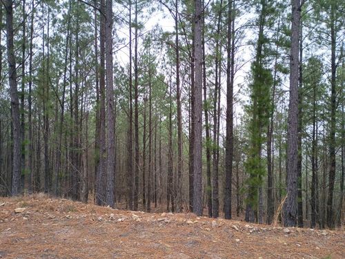 97 Monterey Oak Trl, Broken Bow, OK, 74728-7666 | Card Image