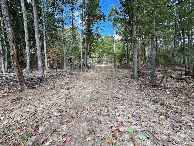 621 Point Pleasant Rd, House other with 2 bedrooms, 1 bathrooms and null parking in BLAND VA | Image 22