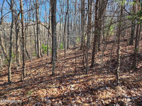 56/58 Homberg Lane, Fairfield Glade, TN, 38558 | Card Image