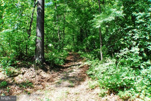 lot 153 Babbs Mountain Rd, WINCHESTER, VA, 22603-3216 | Card Image