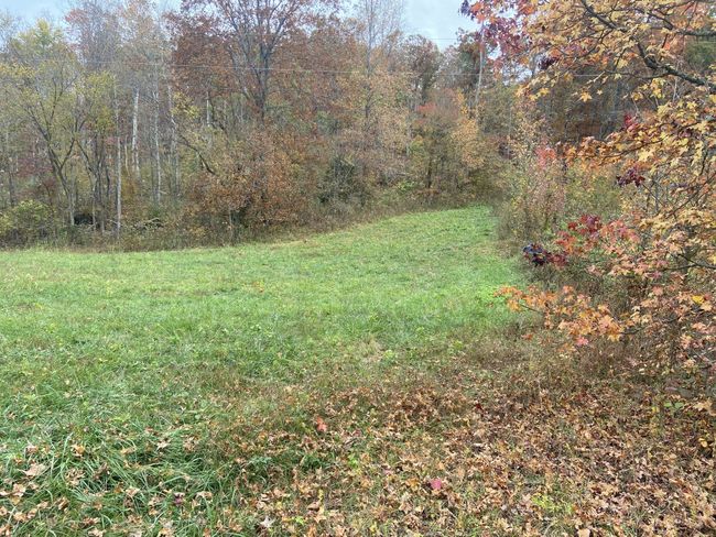 0 Mc Cord Hollow Rd, Home with 0 bedrooms, 0 bathrooms and null parking in Hohenwald TN | Image 12