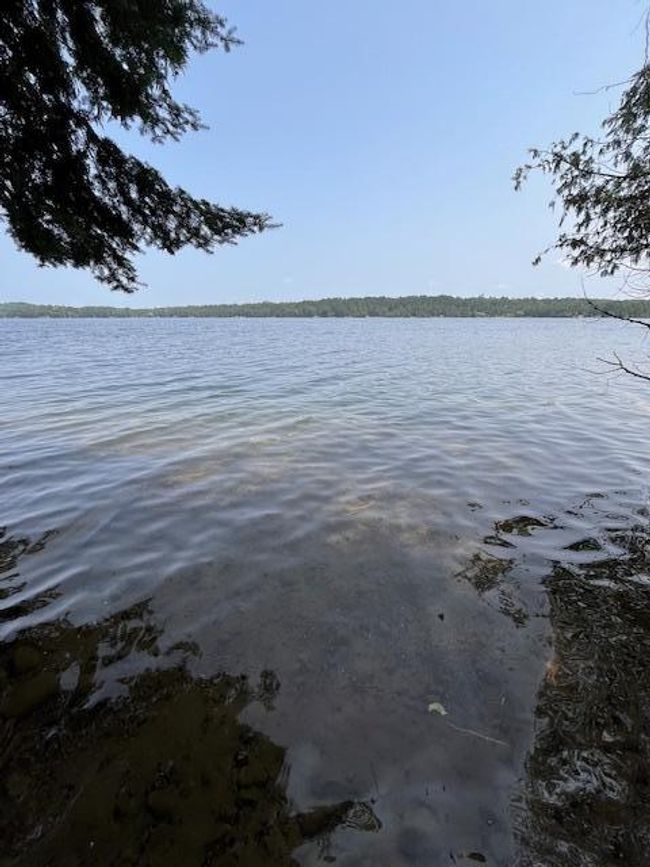 Nice lake view | Image 38