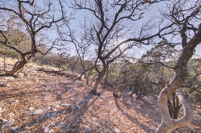 B - 340 River Bend Rd, Home with 0 bedrooms, 0 bathrooms and null parking in Hunt TX | Image 42