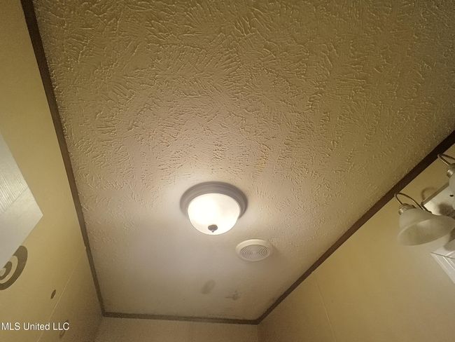 Ceilng | Image 13
