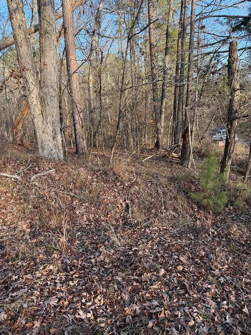 Lot 29 Apple Blossom Dr, Sparta, GA, 31087-6214 | Card Image