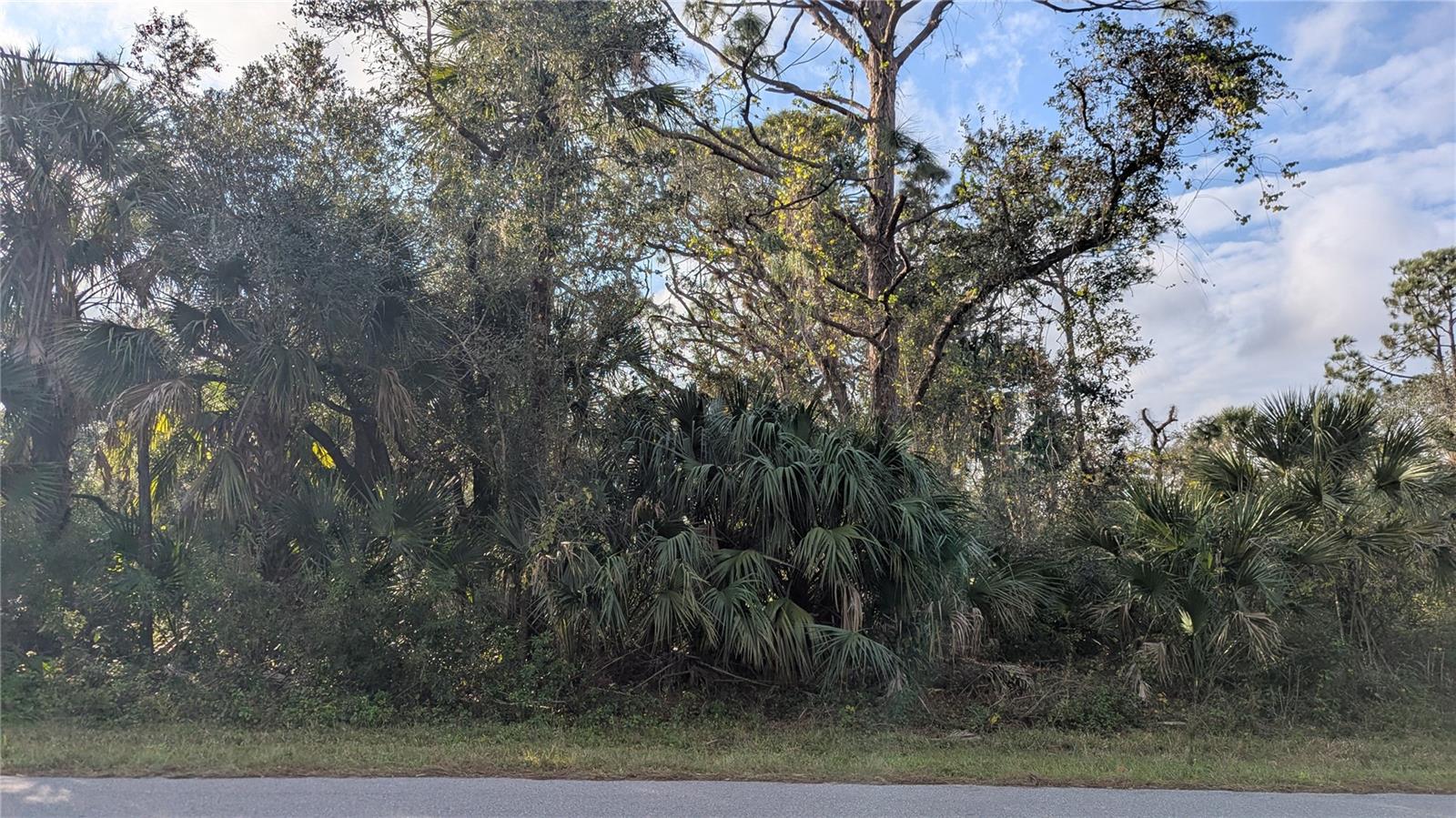 Land in PORT CHARLOTTE 3