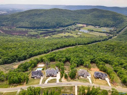 41 Watson Grande Way Se, Owens Cross Roads, AL, 35763-5509 | Card Image