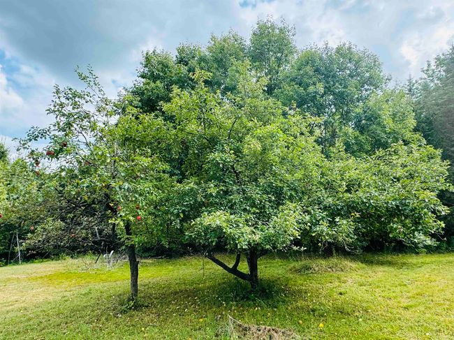 376 Stephenson Hts, House other with 3 bedrooms, 2 bathrooms and null parking in Irasburg VT | Image 14