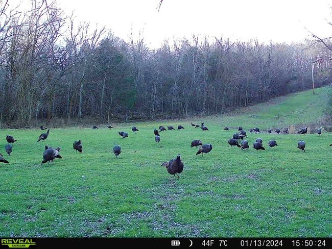 0 Fishing Ford Rd, Home with 0 bedrooms, 0 bathrooms and null parking in Belfast TN | Image 9
