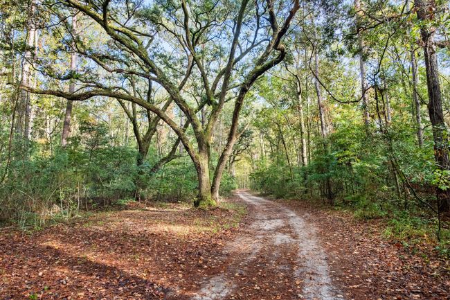 HFL_OSBORNE TRACT-13 | Image 19