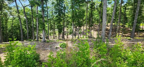 LT 106 Split Creek Rd, MORGANTON, GA, 30560-3428 | Card Image
