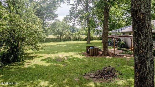 05-Backyard | Image 30