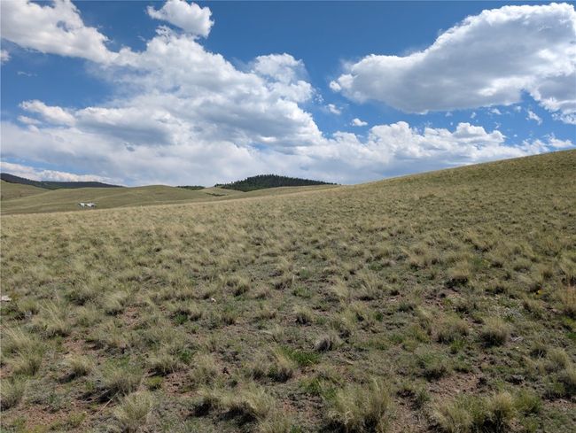 0 Wicaka Trail, Home with 0 bedrooms, 0 bathrooms and null parking in Hartsel CO | Image 13