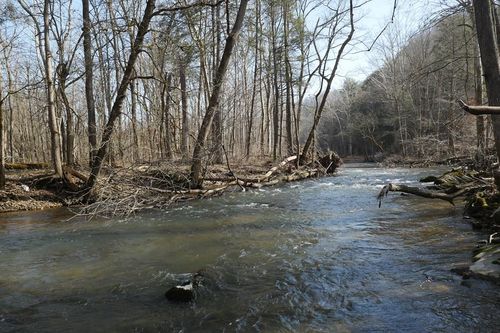 TBD Rush Creek Road, Glade Spring, VA, 24340 | Card Image