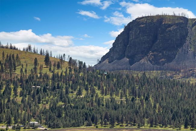 Chief Cliff | Image 12