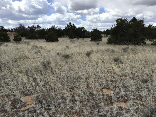 Lots 38-39 Country Lane, Ramah, NM, 87321 | Card Image