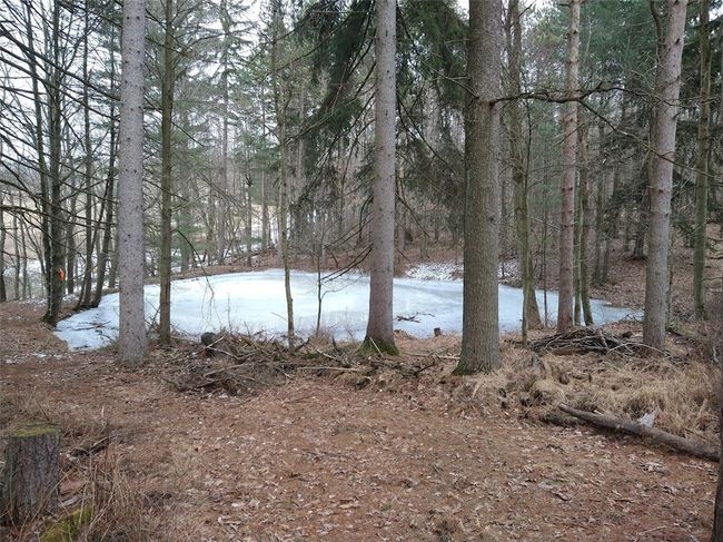 143 Gracie Ln, Home with 0 bedrooms, 0 bathrooms and null parking in Mars PA | Image 25