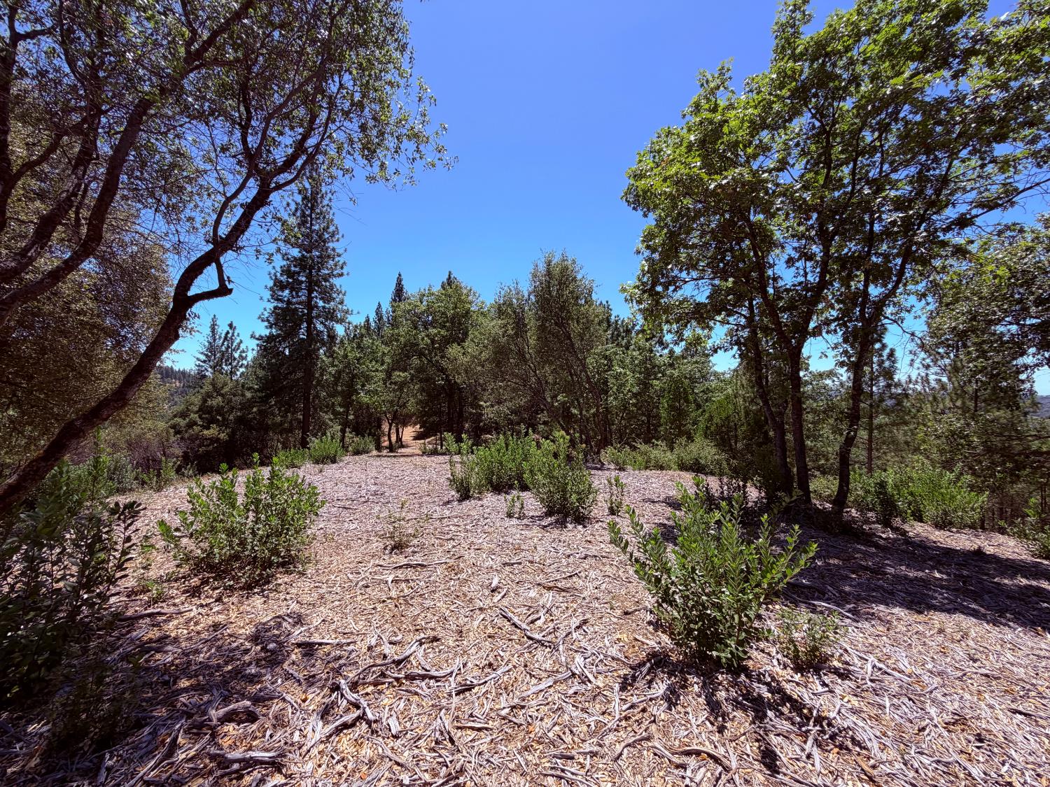 Land in Placerville 5