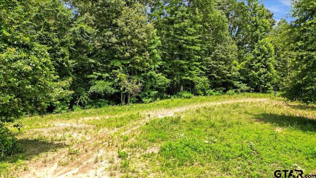 14325 County Road 2141, Home with 3 bedrooms, 2 bathrooms and null parking in Troup TX | Image 42