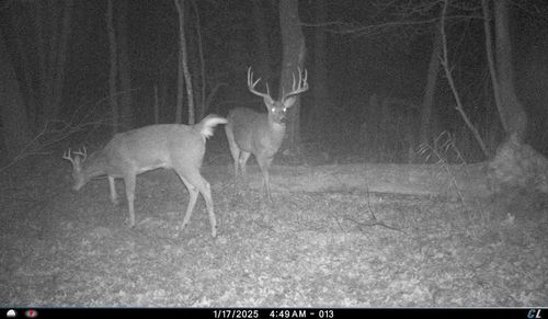 N8510 Fish Rd, New Lisbon, WI, 53950-9774 | Card Image