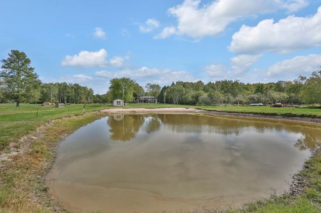 Pond is attractive to a variety of wild life. | Image 31