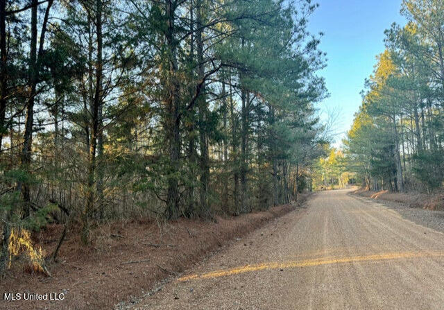 Land in Kosciusko 4