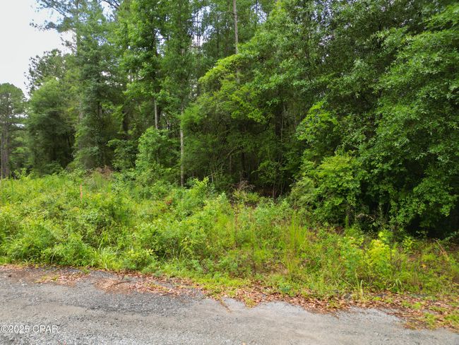 000 Fairway Dr, Home with 0 bedrooms, 0 bathrooms and null parking in Bonifay FL | Image 12